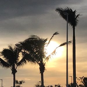 Meet your Posher, Bridget